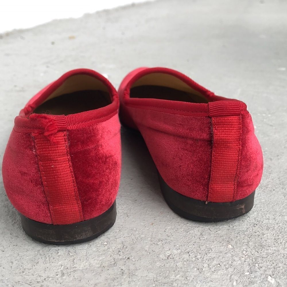 Del Toro  - Picture 6 of 9